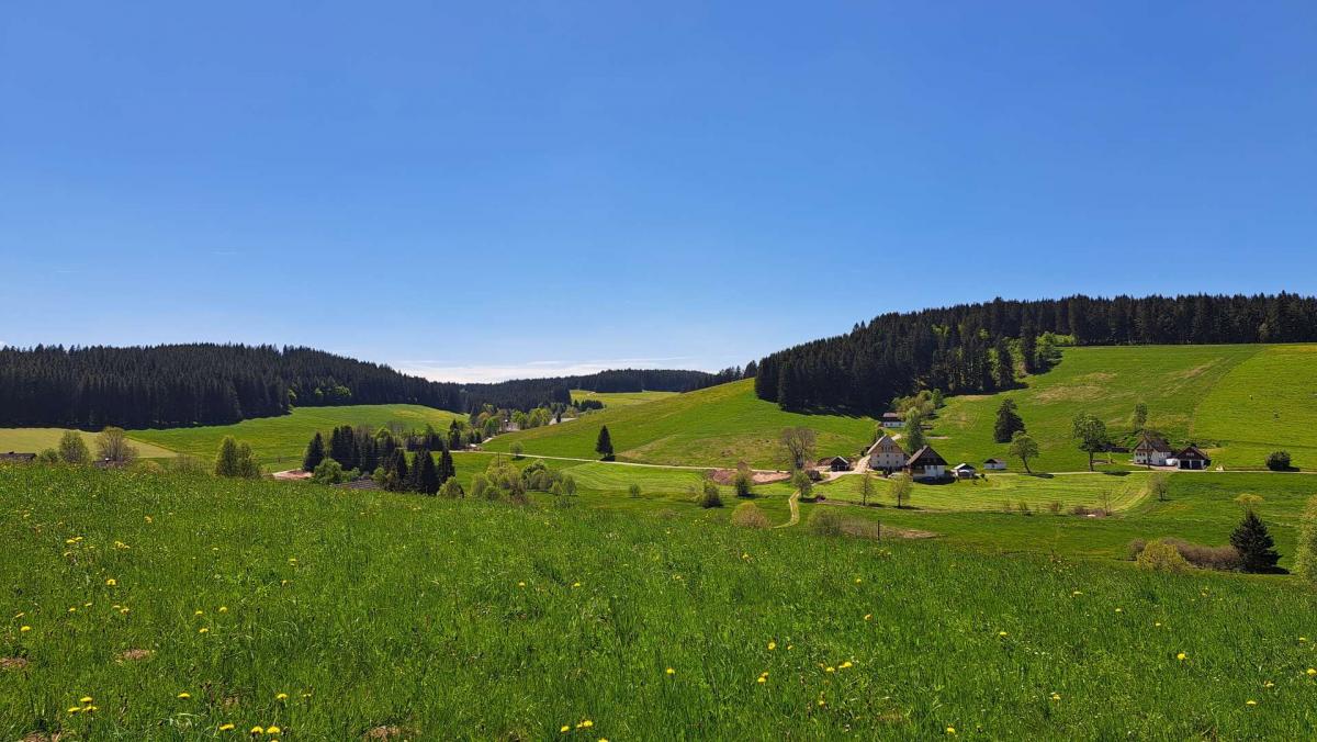 Umgebung