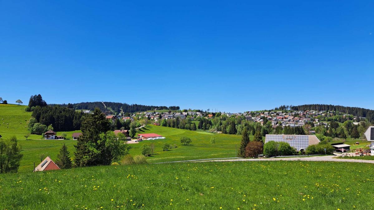 Schönwald