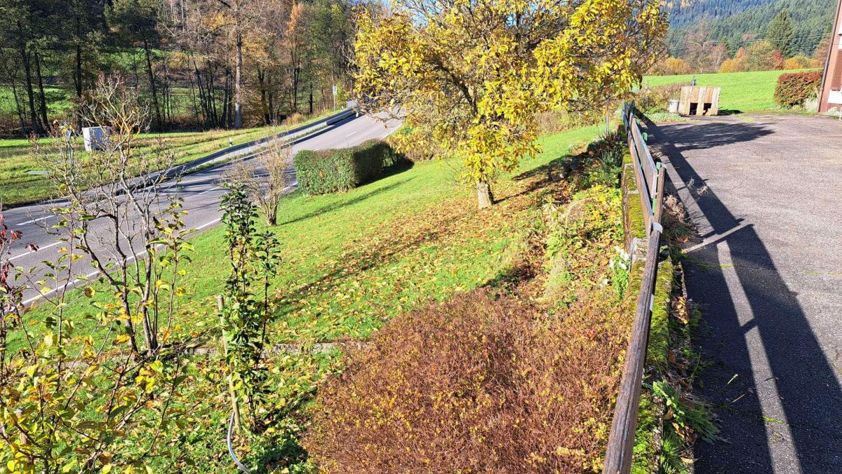 Gemüsegarten vor dem Haus
