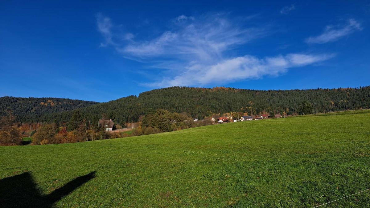 Blick hinter dem Haus