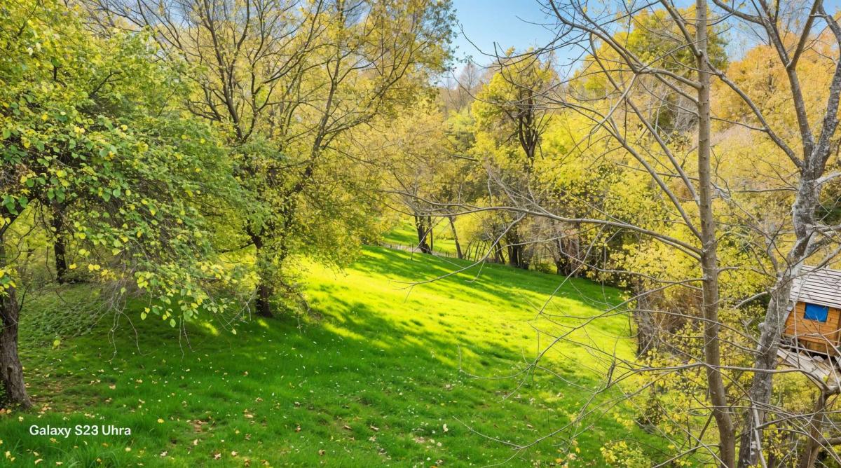 Grundstück unterhalb Parkplatz