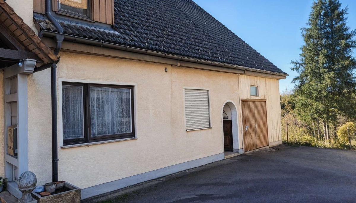 EG mit zweitem Eingang und Garagentor