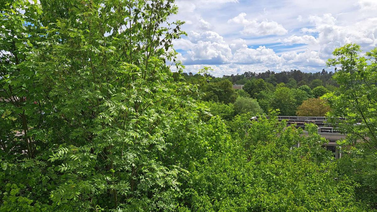 Aussicht vom Balkon