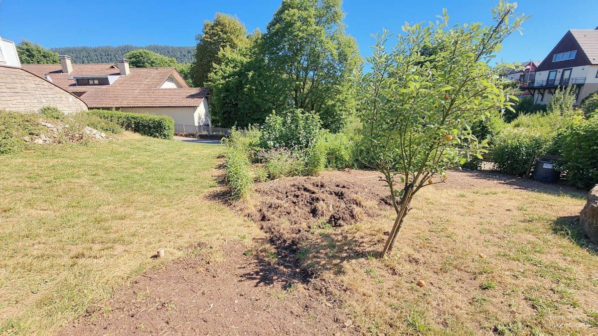 Garten (KI optimiert)