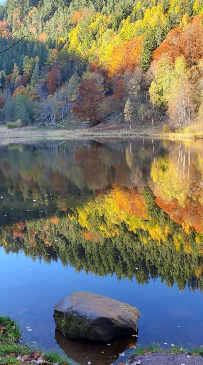 Sankenbachsee