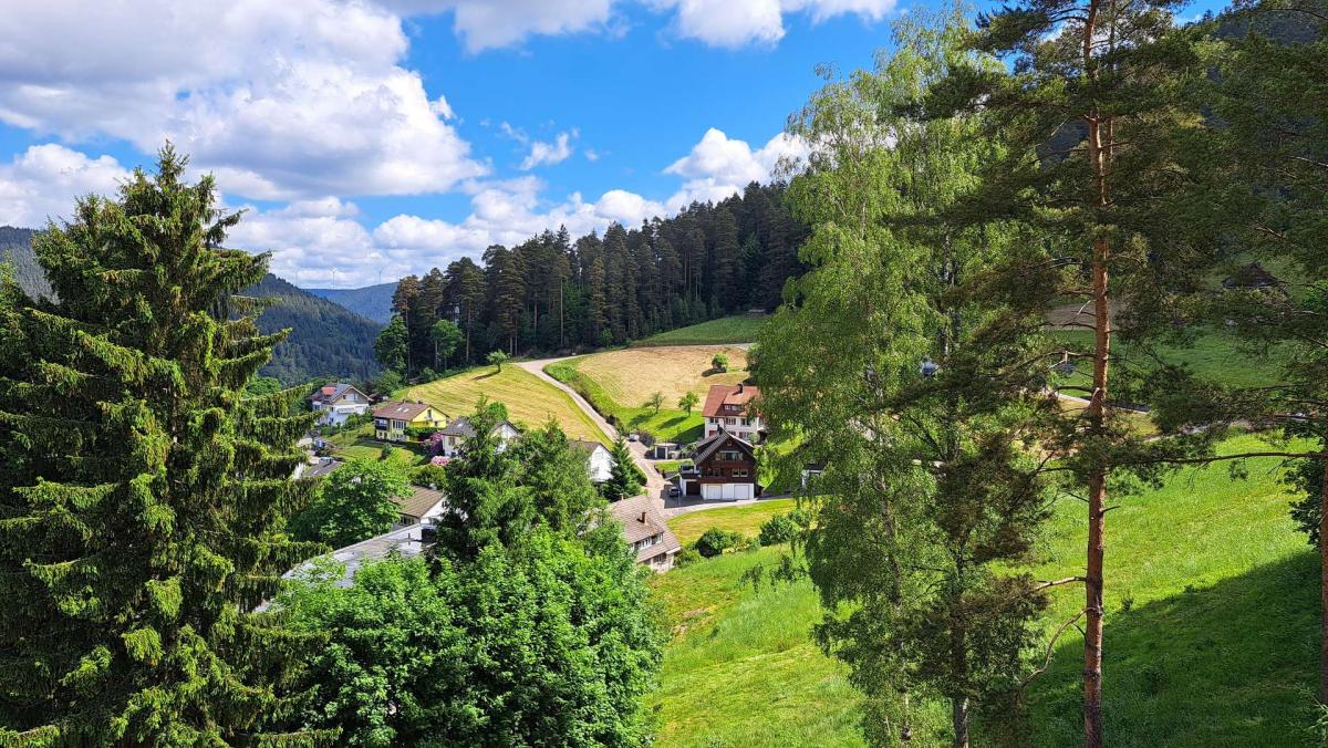 Blick vom Balkon