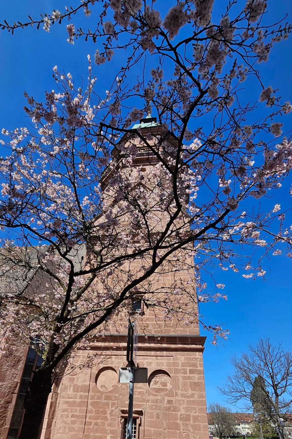 Stadtkirche Freudenstadt
