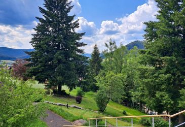 Einmaliges Appartement mit toller Schwarzwald-Aussicht in Baiersbronn mit Schwimmbad