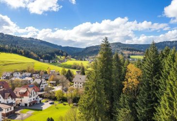 Weite statt Enge – gepflegtes Appartement mit Balkon und Aussicht im Schwarzwald