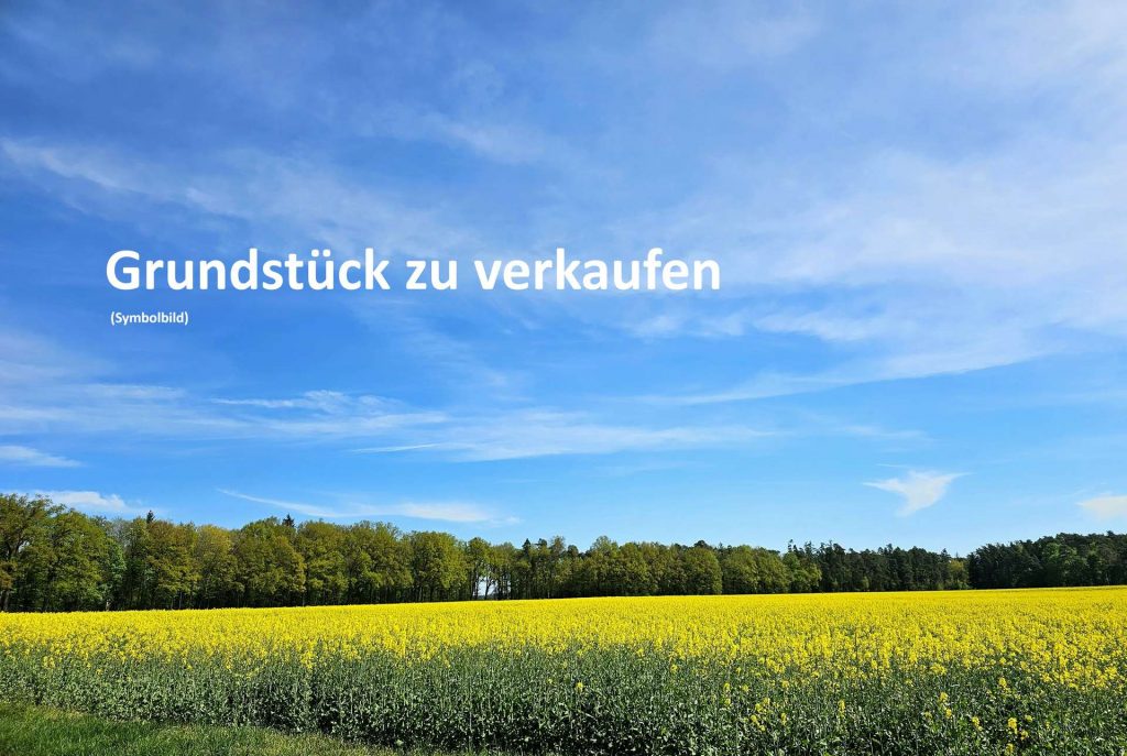 571 m² Bauplatz in Busenberg – gut geschnitten, voll erschlossen und direkt bebaubar