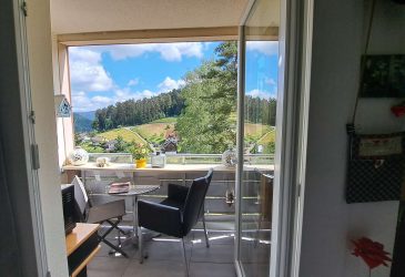 Günstiger Einstieg im Schwarzwald – Appartement mit Aussicht & Schwimmbad