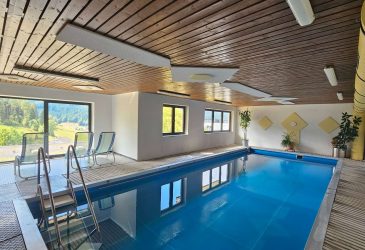 Schwarzwald draußen. Schwimmbad drinnen. – 4 Zimmer in Baiersbronn